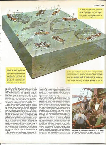 LAMINA MONITOR 01037: Tipos de pesca