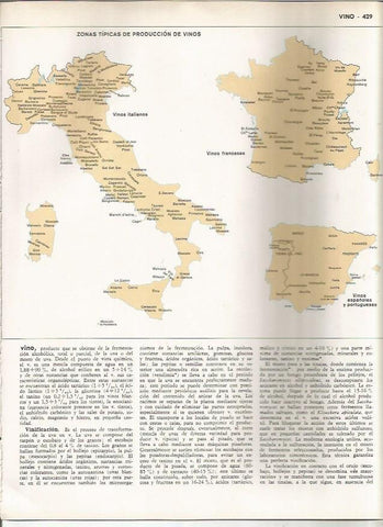 LAMINA MONITOR 0923: Mapas de zonas tipicas de produccion de vino