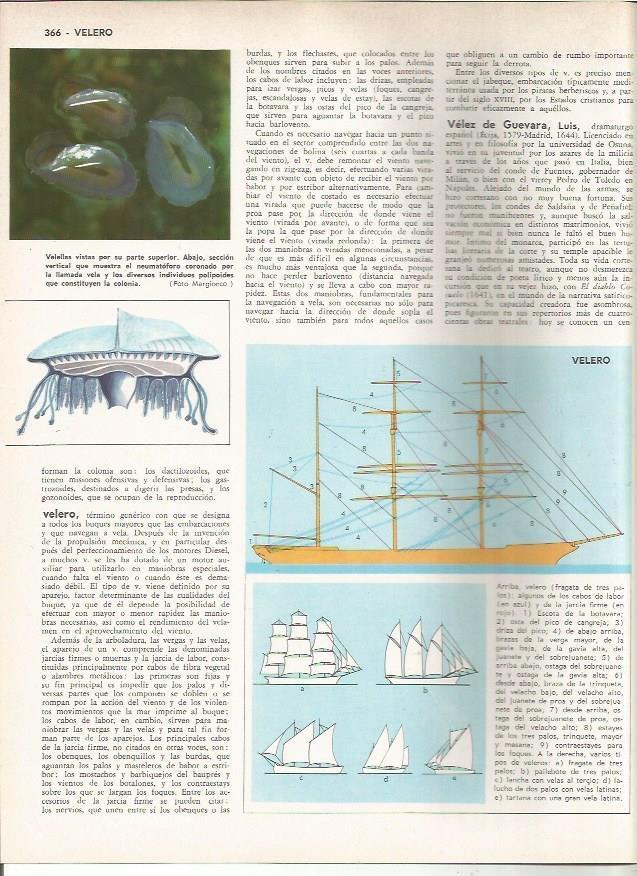 LAMINA MONITOR 0911: Velero