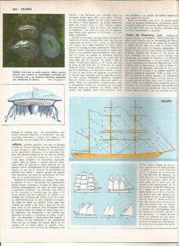 LAMINA MONITOR 0911: Velero