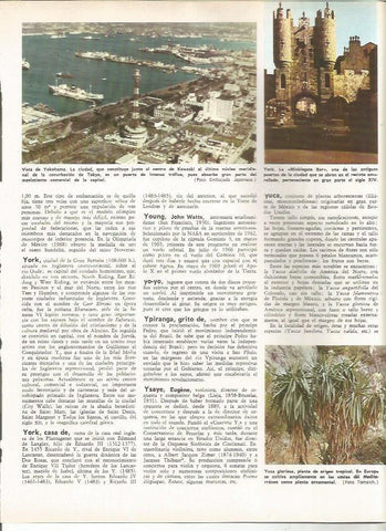 LAMINA MONITOR 0936: Vista de Yokohama