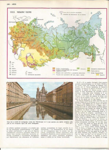 LAMINA MONITOR 0885: Mapa de vegetacion y cultivos de la URSS