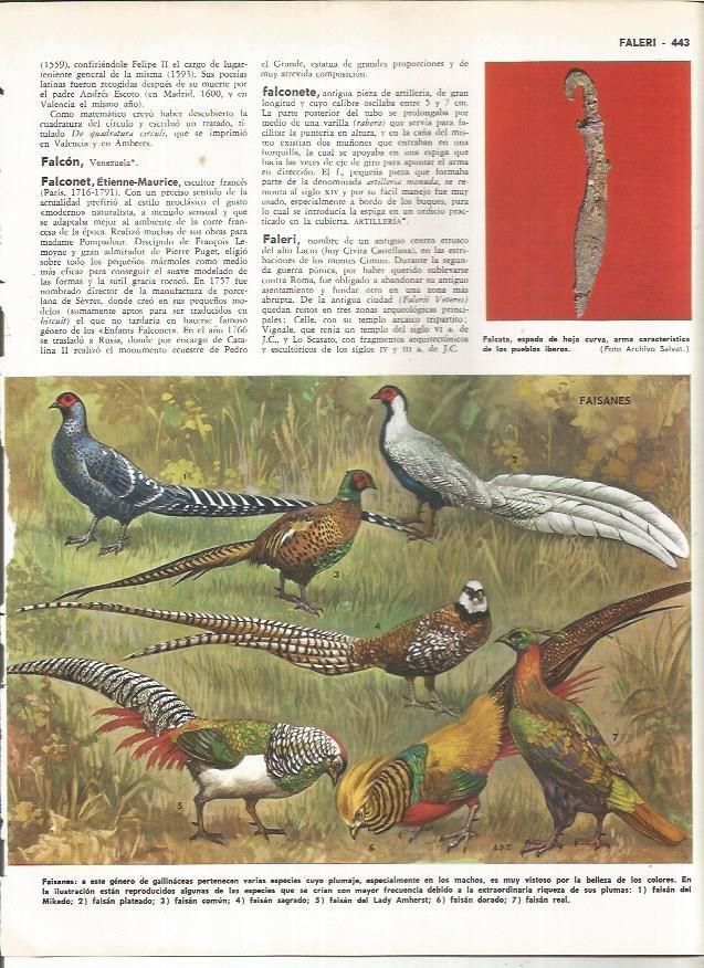 LAMINA MONITOR 01005: Faisanes
