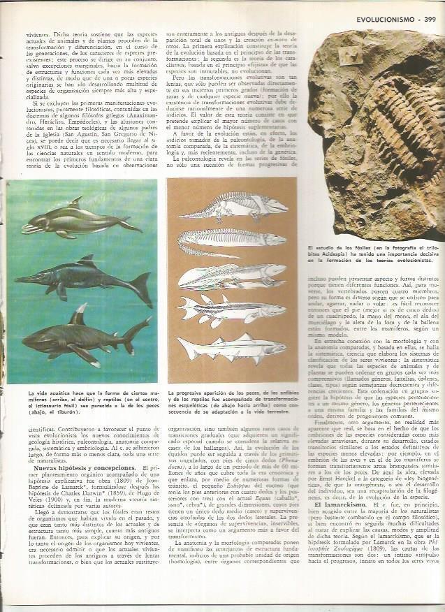 LAMINA MONITOR 01000: Fosiles y vida acuatica