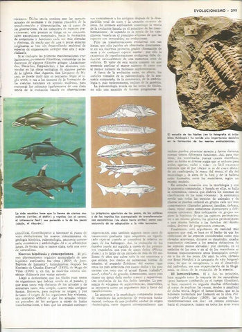 LAMINA MONITOR 01000: Fosiles y vida acuatica