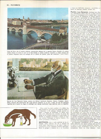 LAMINA MONITOR 01023: Vista de Pavia