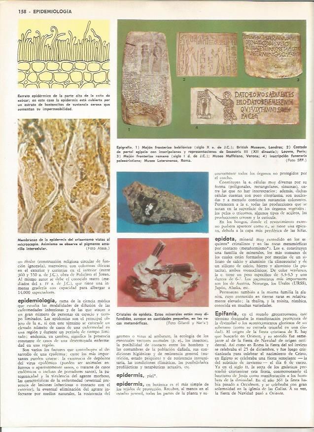 LAMINA MONITOR 0963: Epidemiologia y epigrafia