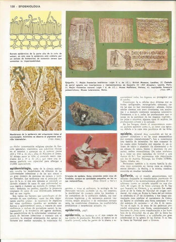 LAMINA MONITOR 0963: Epidemiologia y epigrafia