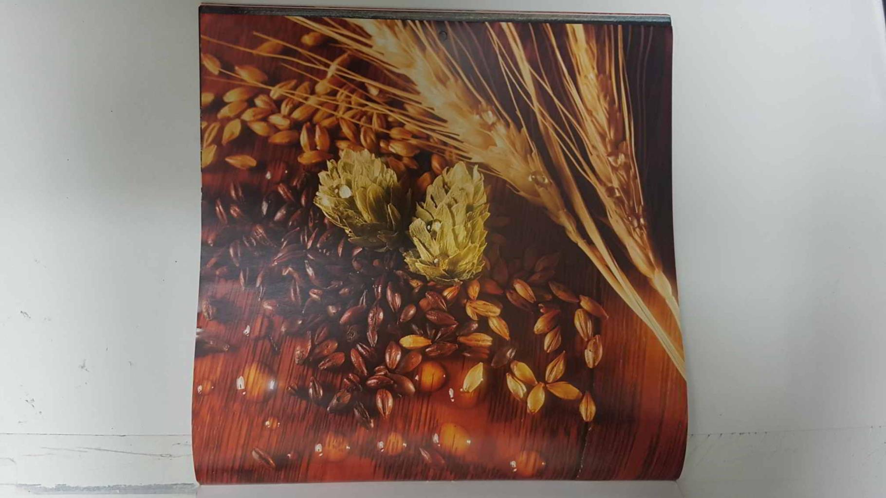 Calendario / Kalender / Calendrier / Calendar: 2011 : Bier - Beer - Bierre - Cerveza, Lamina 10