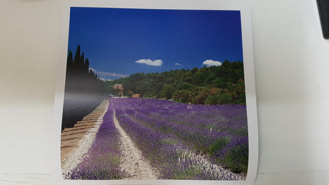 Calendario / Kalender / Calendrier / Calendar: 2011 : Provence (Roberto della vite) - lamina 01