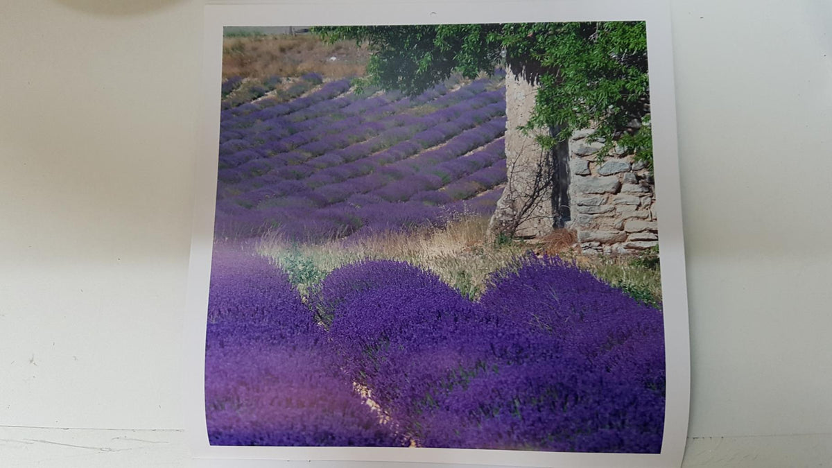 Calendario / Kalender / Calendrier / Calendar: 2011 : Provence (Roberto della vite) - lamina 02