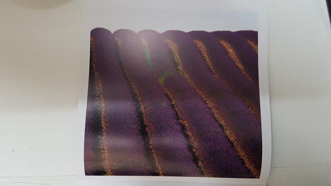 Calendario / Kalender / Calendrier / Calendar: 2011 : Provence (Roberto della vite) - lamina 04
