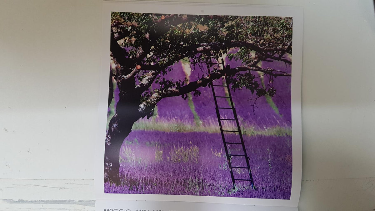 Calendario / Kalender / Calendrier / Calendar: 2011 : Provence (Roberto della vite) - lamina 05