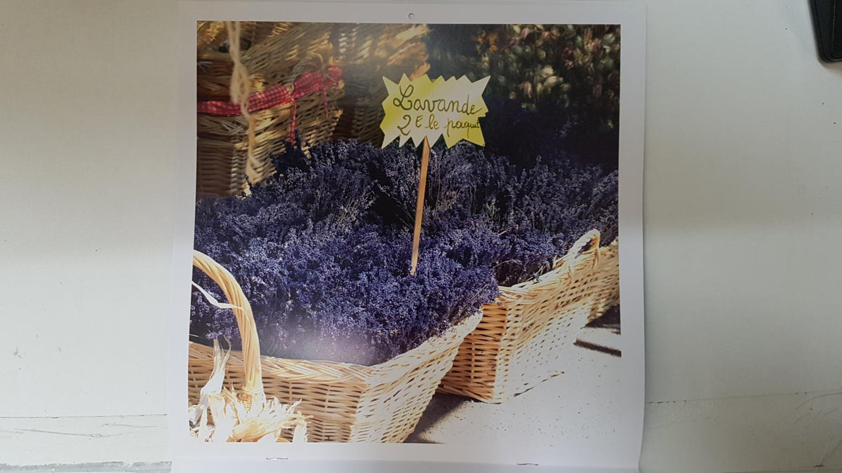 Calendario / Kalender / Calendrier / Calendar: 2011 : Provence (Roberto della vite) - lamina 06
