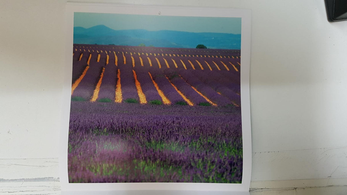 Calendario / Kalender / Calendrier / Calendar: 2011 : Provence (Roberto della vite) - lamina 09