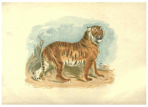 Reproducción/Reproduction 6093003218: The pictorial museum of animated nature. v.1. London :C. Cox,[1844?] 