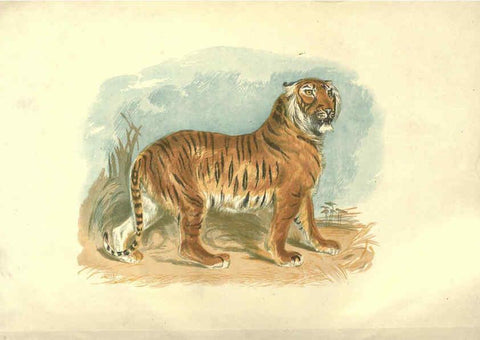 Reproducción/Reproduction 6093003218: The pictorial museum of animated nature. v.1. London :C. Cox,[1844?] 