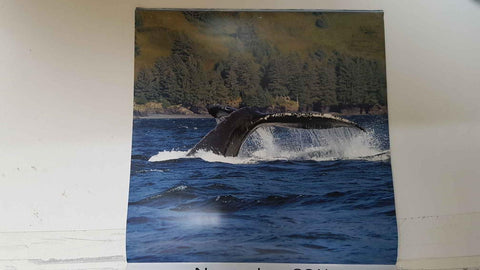 Calendario / Kalender / Calendrier / Calendar: 2011 : Whales (Ballenas) - lamina 11