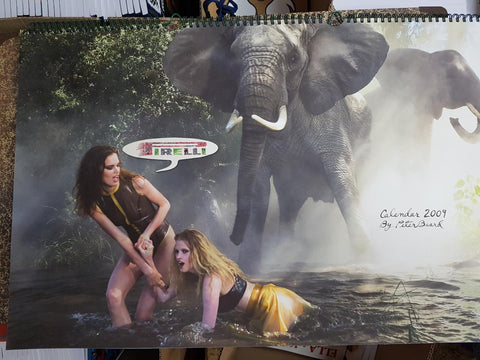 Calendario: Pirelli 2009, fotografias (56 láminas) por Peter Beard - Rianne Ten Haken, Lara Stone