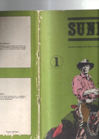 Sunday numero 01 (cubierta con algun picado segun imagen adjunta)