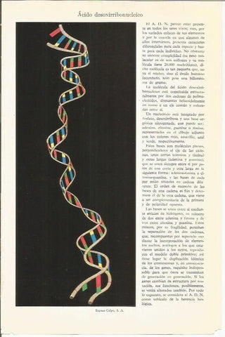 LAMINA ESPASA 37992: Secuencia del ADN