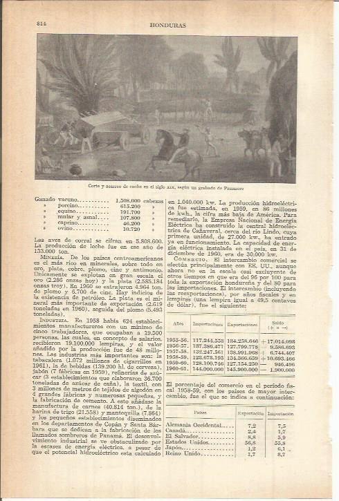 LAMINA ESPASA 38174: Corte y acarreo de caoba, grabado de Passmore
