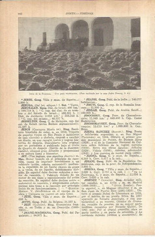 LAMINA ESPASA 38192: Uva para vino en Jerez de la Frontera