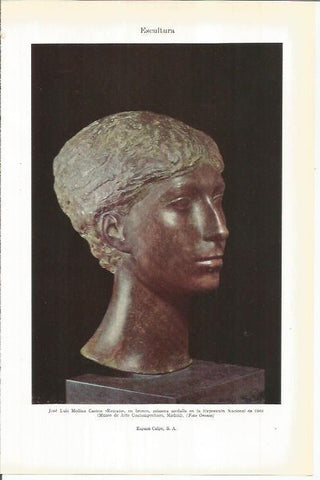 LAMINA ESPASA 38113: Retrato, escultura de Jose Luis Medina Castro