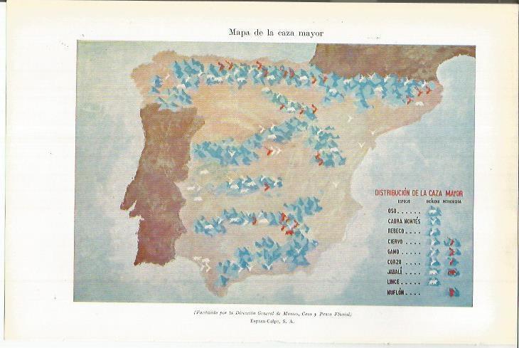 LAMINA ESPASA 38105: Mapa de España de la caza mayor