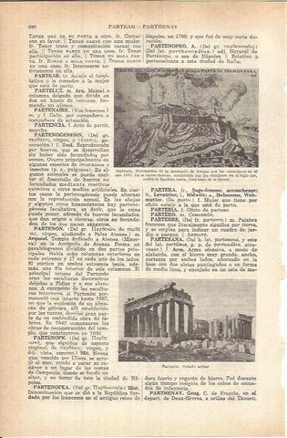 LAMINA ESPASA 37765: El Partenon de Atenas