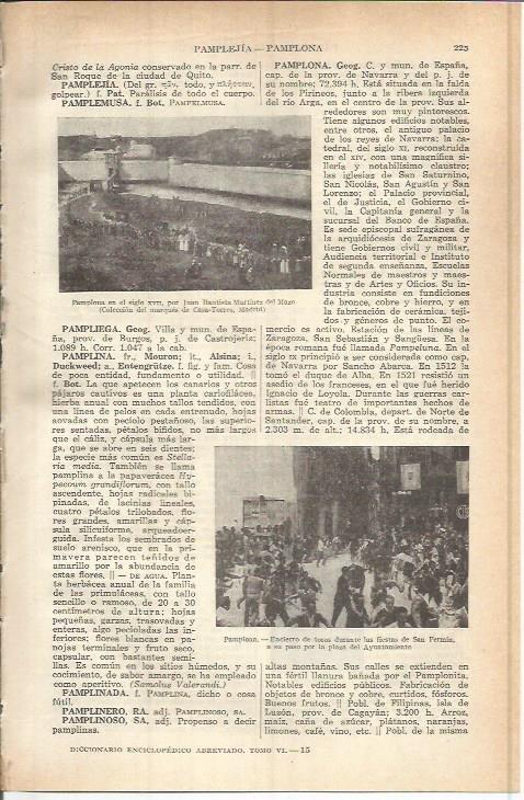 LAMINA ESPASA 37742: Vistas de Pamplona