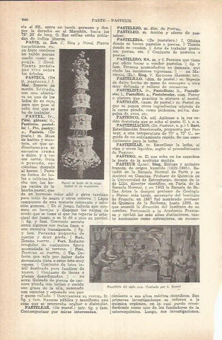 LAMINA ESPASA 37772: Pasteleria del siglo XVII, grabado