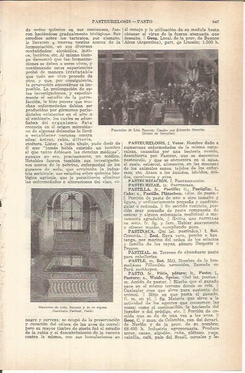 LAMINA ESPASA 37773: Funerales de Pasteur, por E. Detaille