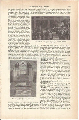 LAMINA ESPASA 37773: Funerales de Pasteur, por E. Detaille