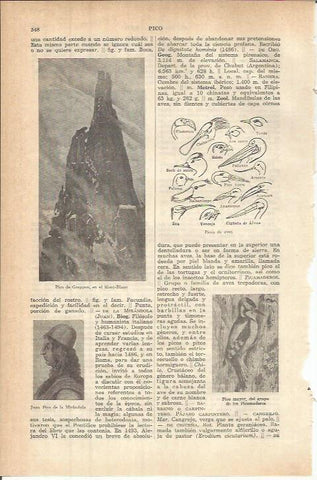 LAMINA ESPASA 37799: Pico de Greppon, en el Mont Blanc