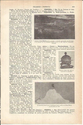LAMINA ESPASA 37780: Ataque a Pearl Harbor
