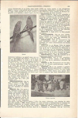 LAMINA ESPASA 37787: Pericos