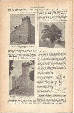 LAMINA ESPASA 37685: Torre de las murallas en Olmedo,  Valladolid