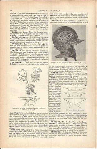 LAMINA ESPASA 37702: Orejeras de una borgoñota