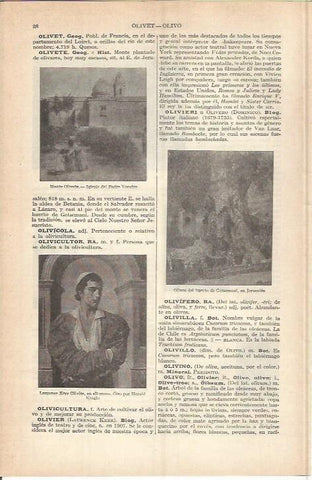 LAMINA ESPASA 37684: Iglesia del Padre Nuestro en Monte Olivete