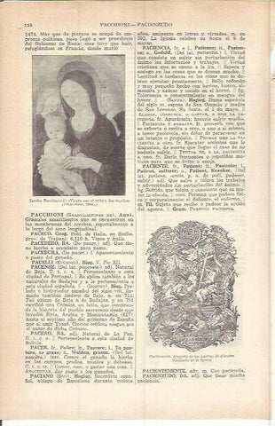 LAMINA ESPASA 37724: Virgen con el Niño y dos angeles, por Pacchiarotti