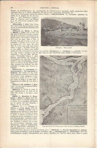 LAMINA ESPASA 37709: Plano parcial del rio Orinoco