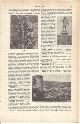 LAMINA ESPASA 37716: Valle de Paglia, Italia