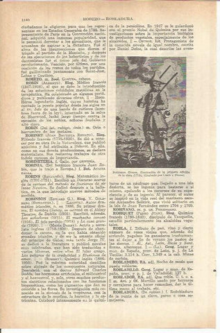 LAMINA ESPASA 37902: Ilustracion para Robinson Crusoe
