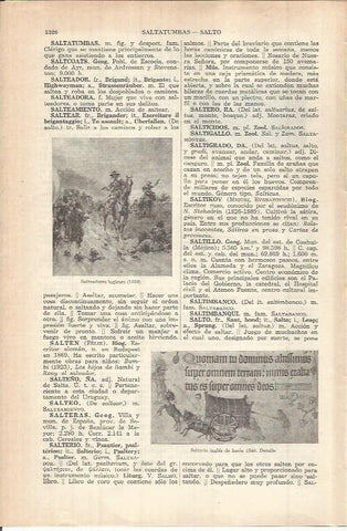 LAMINA ESPASA 37943: Salteadores de Inglaterra