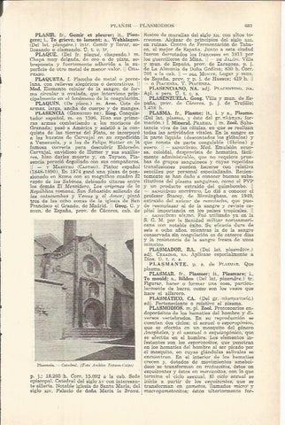 LAMINA ESPASA 37815: Catedral de Plasencia