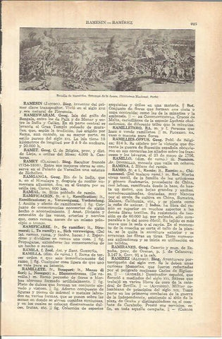 LAMINA ESPASA 37857: Batalla de Ramilillies