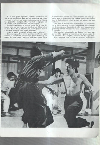 Lamina Bruce Lee numerada 05