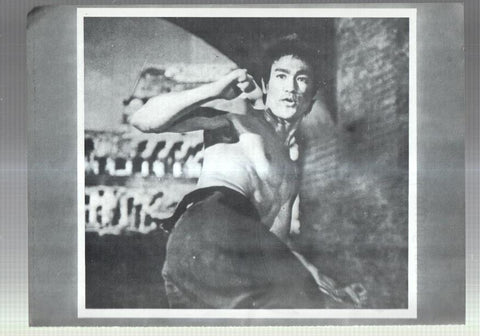 Lamina Bruce Lee numerada 06