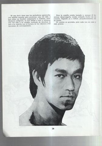 Lamina Bruce Lee numerada 07